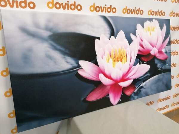 Quadro su tela – Fiore di loto nel lago