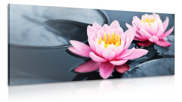 Quadro su tela – Fiore di loto nel lago
