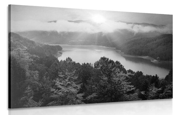 Quadro su tela – Fiume nel mezzo della foresta in bianco e nero