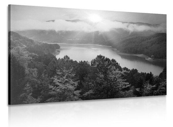 Quadro su tela – Fiume nel mezzo della foresta in bianco e nero
