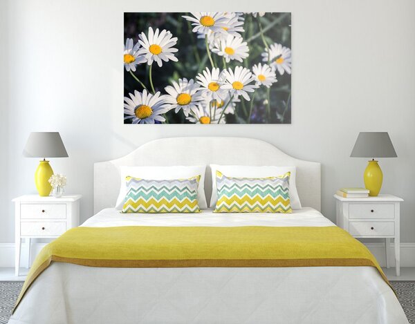 Quadro su tela – Margherite in giardino