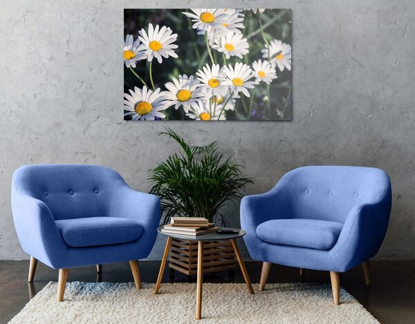 Quadro su tela – Margherite in giardino