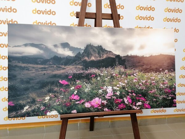 Quadro su tela – Prato di fiori in fiore