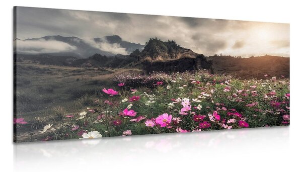 Quadro su tela – Prato di fiori in fiore