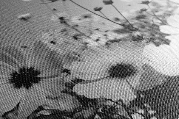 Stampa su tela – Prato di fiori primaverili in bianco e nero