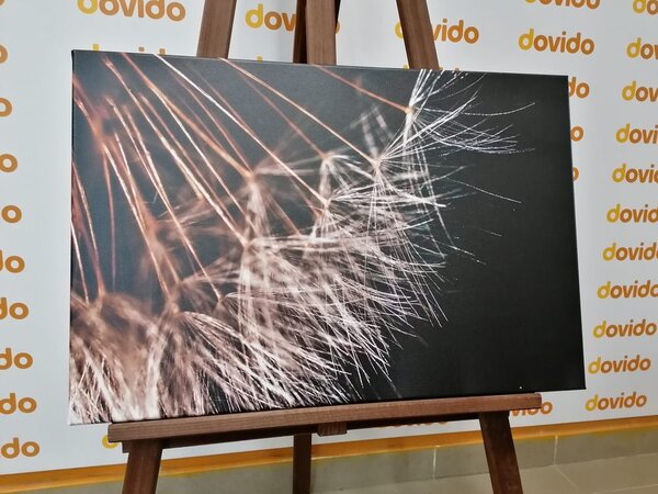 Quadro su tela – Bellezza del soffione