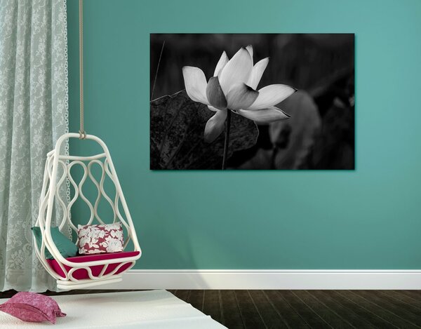 Stampa su tela – Fiore di loto delicato in bianco e nero