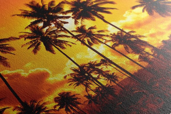 Quadro su tela – Palme di cocco sulla spiaggia