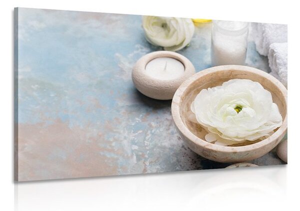 Quadro su tela – Natura morta Spa