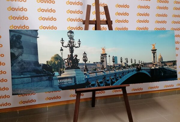 Stampa su tela – Ponte Alessandro III a Parigi