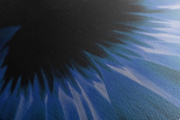 Quadro su tela – Gerbera blu su sfondo scuro