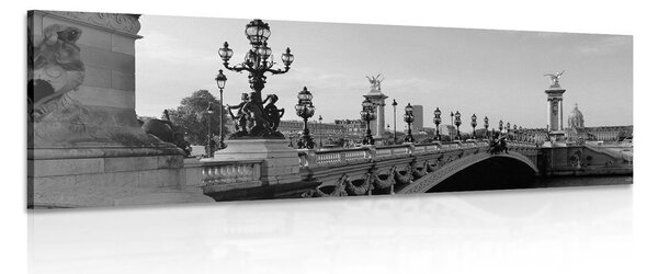 Quadro su tela – Ponte Alessandro III a Parigi in bianco e nero