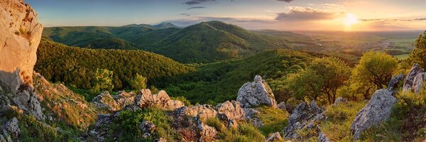 Stampa su tela – Natura baciata dal sole