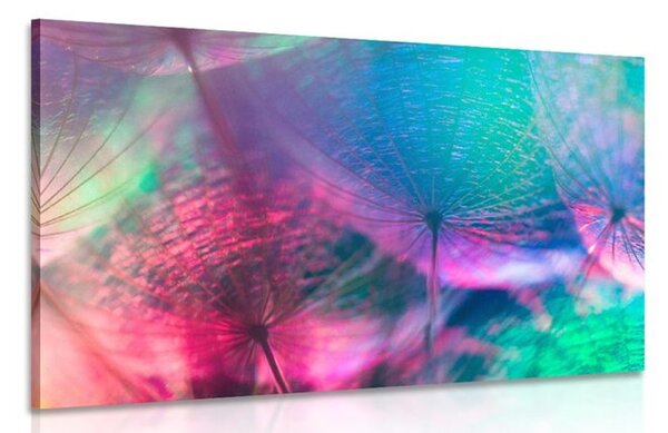 Stampa su tela – Soffione in colori pastello