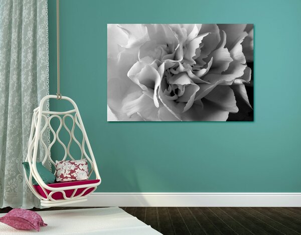 Stampa su tela – Petali di garofano in bianco e nero