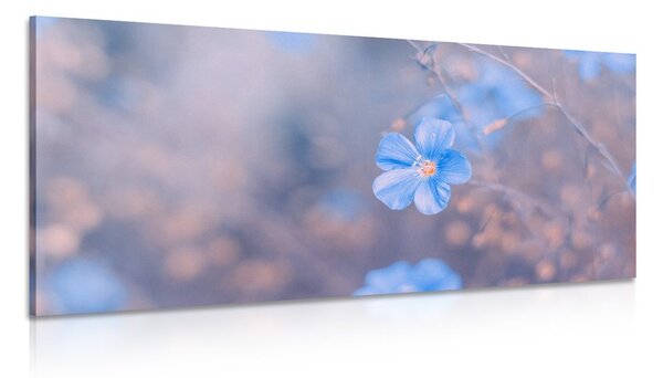 Quadro su tela – Fiori blu su sfondo vintage