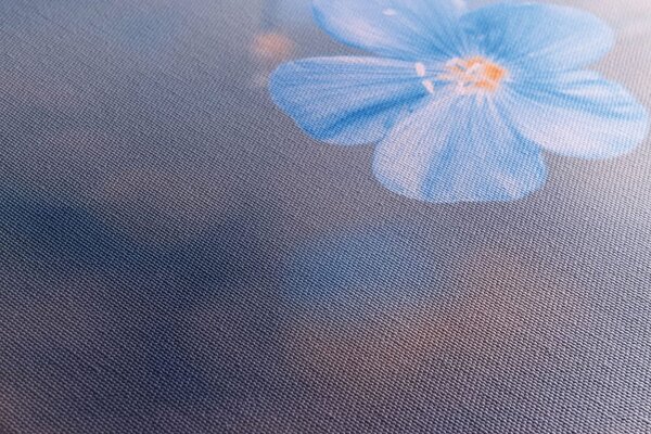 Quadro su tela – Fiori blu su sfondo vintage