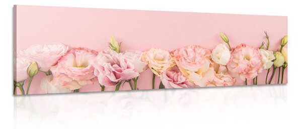 Stampa su tela – Fiori fioriti pastello