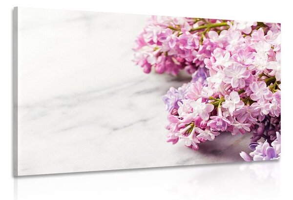 Quadro su tela – Splendidi fiori su sfondo di marmo