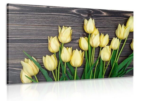 Quadro su tela – Incantevoli tulipani gialli su sfondo di legno