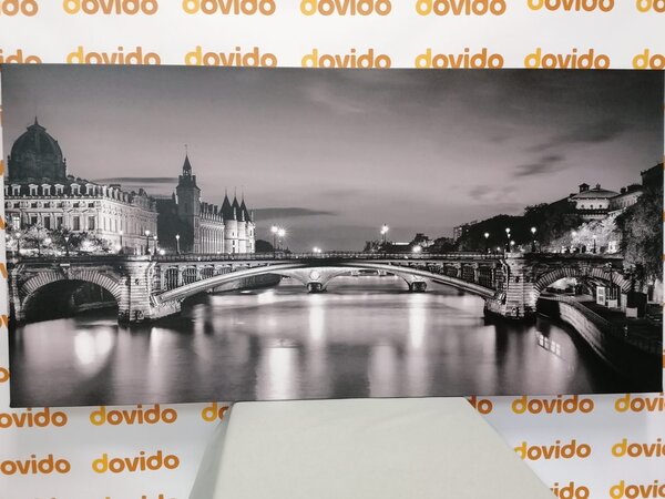 Quadro su tela – Panorama abbagliante di Parigi in bianco e nero