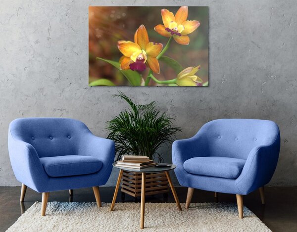 Stampa su tela – Orchidea arancione