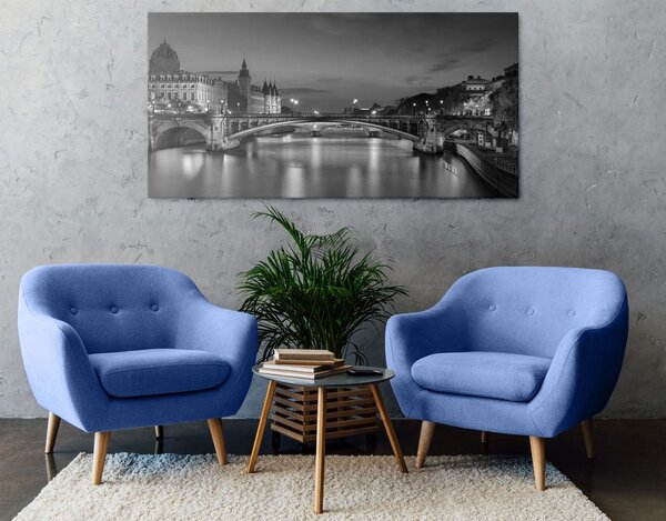 Quadro su tela – Panorama abbagliante di Parigi in bianco e nero