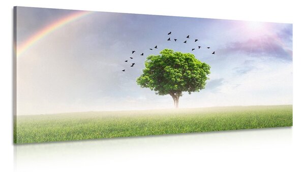 Stampa su tela – Albero solitario nel prato