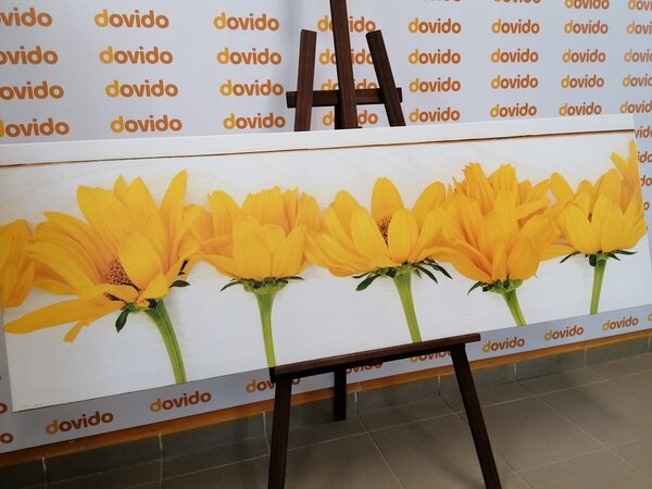Quadro su tela – Fiori gialli stupendi