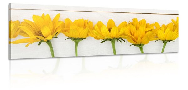 Quadro su tela – Fiori gialli stupendi