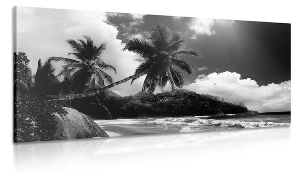 Quadro su tela – Spiaggia stupenda sull'isola delle Seychelles in bianco e nero