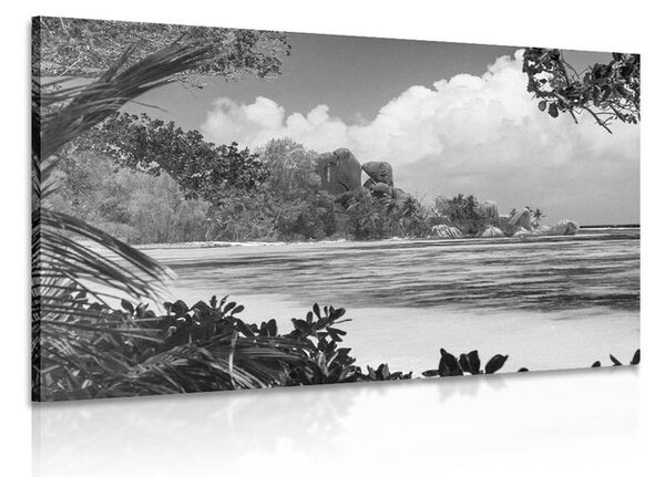 Stampa su tela – Spiaggia meravigliosa sull'isola di La Digue in bianco e nero