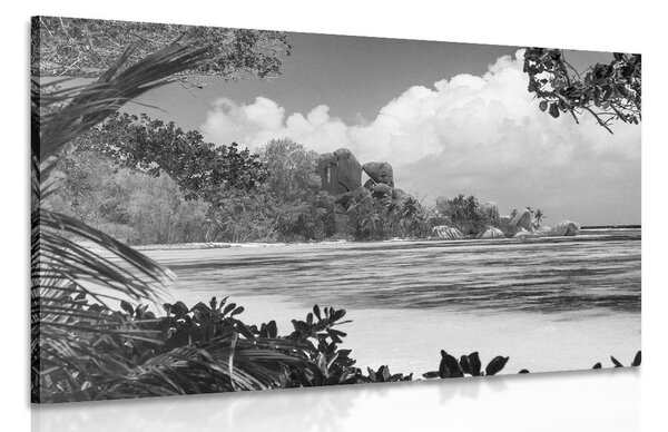 Stampa su tela – Spiaggia meravigliosa sull'isola di La Digue in bianco e nero