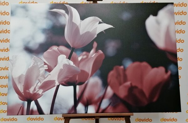 Stampa su tela – Tulipani primaverili nel parco