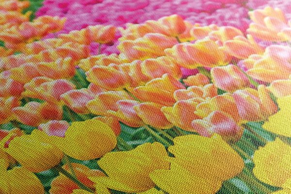 Stampa su tela – Tulipani variopinti