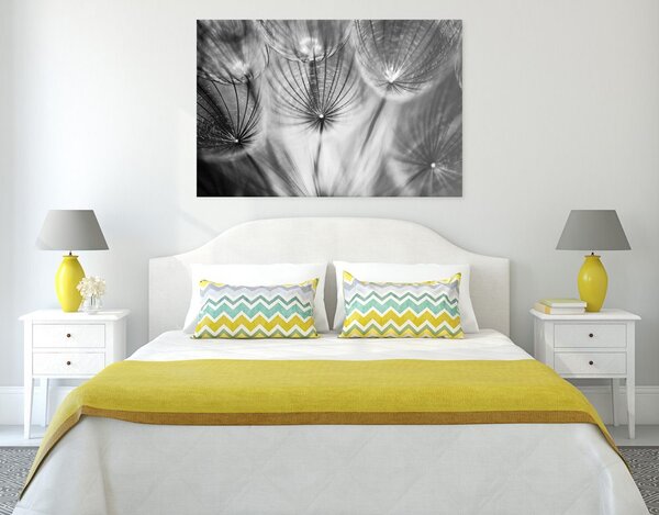 Quadro su tela – Soffione in bianco e nero