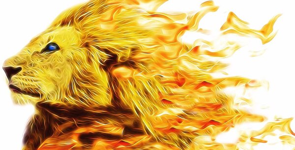 Stampa su tela – Leone infuocato
