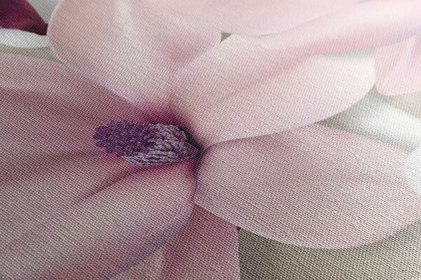 Stampa su tela – Magnolia su sfondo astratto