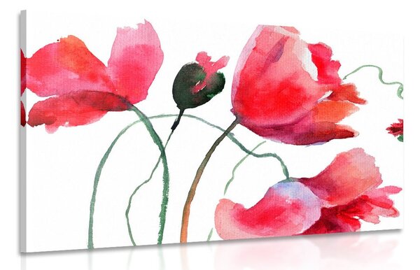 Stampa su tela – Fiori di papavero unici