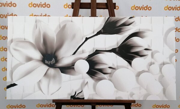 Quadro su tela – Magnolia in bianco e nero con elementi astratti