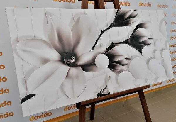 Quadro su tela – Magnolia in bianco e nero con elementi astratti