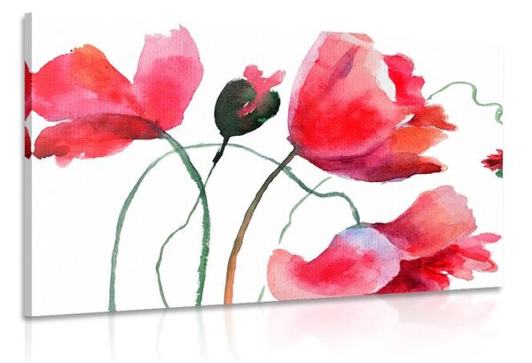 Stampa su tela – Fiori di papavero unici