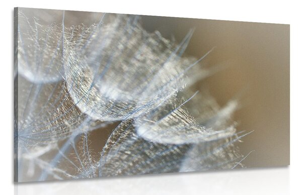 Quadro su tela – Macro soffione su sfondo