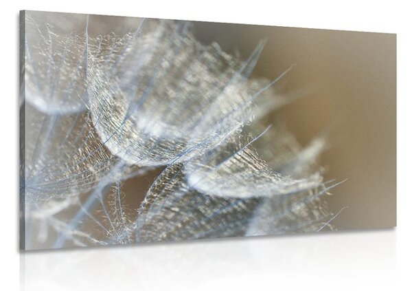 Quadro su tela – Macro soffione su sfondo