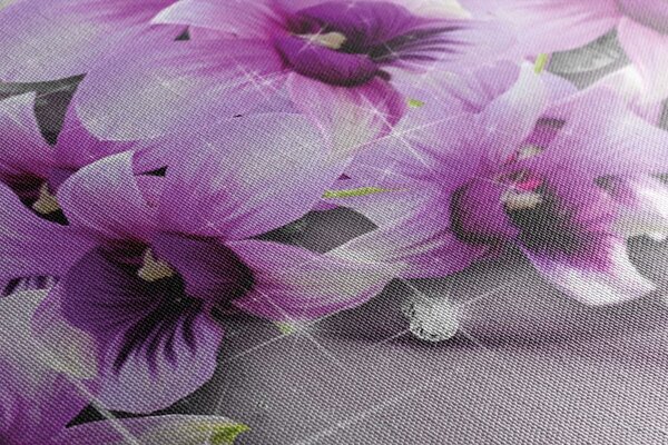 Frou-Frou 7124 18 4 - Bottoni in Nylon, Confezione da 4 Pezzi
