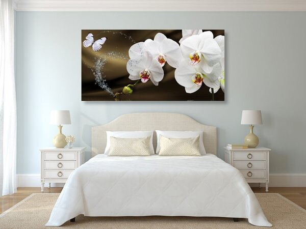 Quadro su tela – Orchidea e farfalla