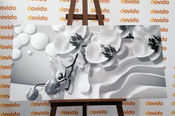 Stampa su tela – Orchidea in bianco e nero su sfondo astratto