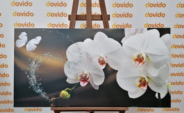 Quadro su tela – Orchidea e farfalla