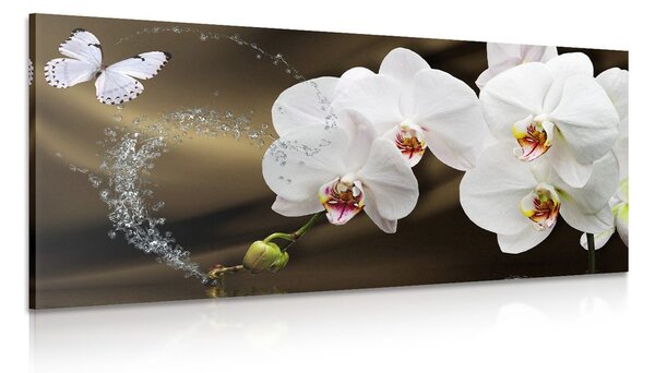 Quadro su tela – Orchidea e farfalla