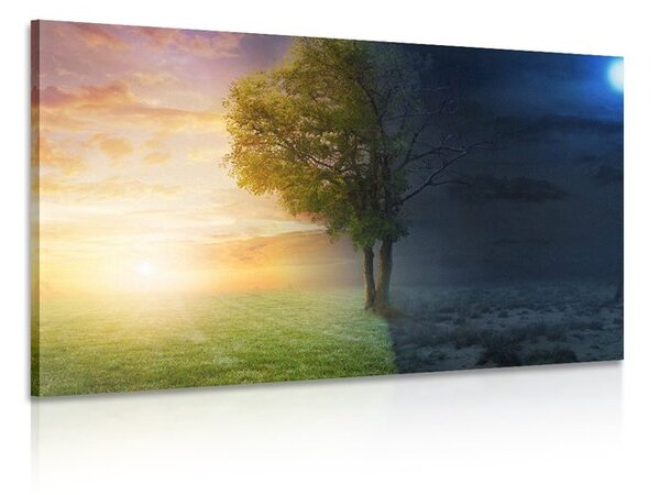 Quadro su tela – Giorno e notte